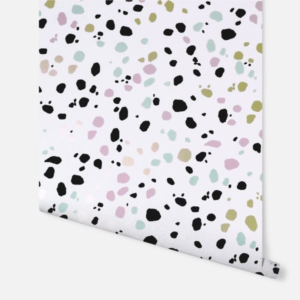 dalmatian wallpaper homebase