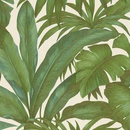 Versace Giungla Banana Palm Leaves Wallpaper | Green and Cream