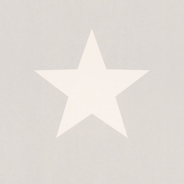 Large Grey and White Star Wallpaper Rasch Stars