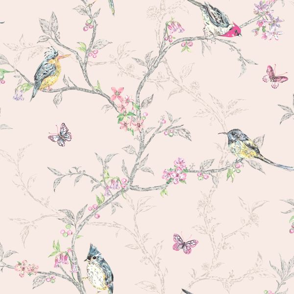 Love Birds Wallpapers on WallpaperDog