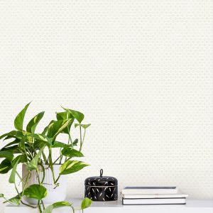 Ted Baker Fantasia Collection Mano Wallpaper Cream Pearlescent 12709