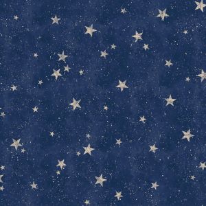 Crown Starlight Stars Wallpaper Navy / Gold M1490