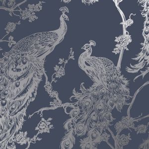 rasch portfolio wallpaper