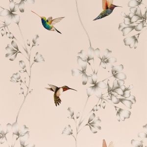 Harlequin Amazilia Hummingbird Wallpaper Powder Pink and Pearl HTEW112606