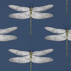 Harlequin Demoiselle Dragonfly Wallpaper Ink / Chartreuse HGAT111243