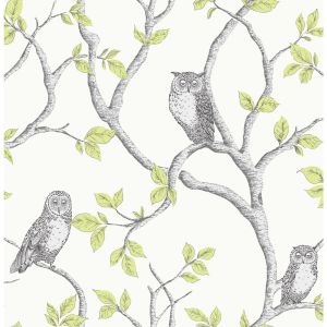 Woodland Owls Wallpaper - Green  - FD40637