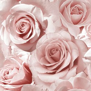 Madison Rose Glitter Floral Wallpaper Raspberry and Blush Pink Muriva 1395201