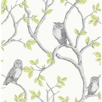 Woodland Owls Wallpaper - Green  - FD40637