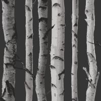 Birch Trees Wallpaper - Black and Silver - Fine Decor