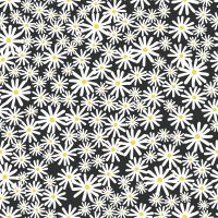 Skinnydip Daisy Floral Wallpaper Black / White Muriva 180510