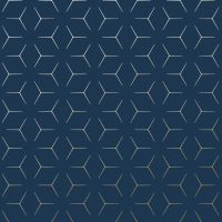 Metro Illusion Geometric Wallpaper - Navy Blue and Gold - WOW005