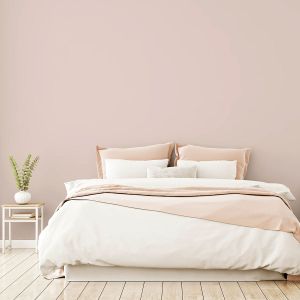 pink paint Chalky Matt  2.5l Pirouette Arthouse 1214