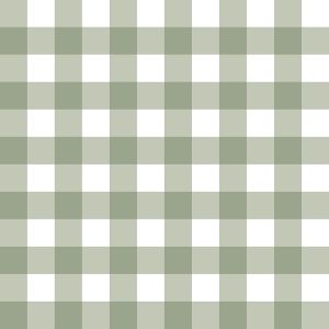 Little Explorers 2 Wallpaper Tartan Boom Green Galerie 12375