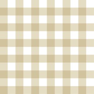 Little Explorers 2 Wallpaper Tartan Boom Beige Galerie 12377