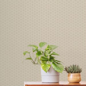 Ted Baker Fantasia Collection Hexie Astoria Wallpaper Beige 12636