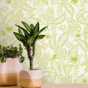 Ted Baker 12700 Wallpaper Fantasia Collection Monflo White 
