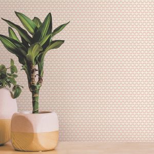 Ted Baker Fantasia Collection Mano Wallpaper Cream Pearlescent 12706