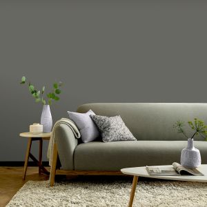 Arthouse Paint 1205 Matt 2.5l Chalky Graphite 