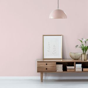 pink paint Chalky Matt 2.5l Marshmallow Arthouse 1215 