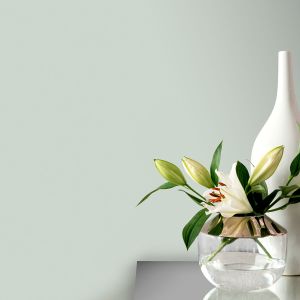 green paint Chalky Matt  2.5l Pistachio Arthouse 1213