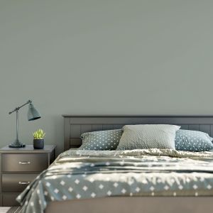 Matt Paint Chalky 2.5l Fern Arthouse 1203 