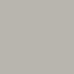 Stone Grey Paint Chalky Matt 2.5l Arthouse 1240