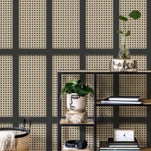 Cane Panel Wallpaper Black Fine Decor FD42998