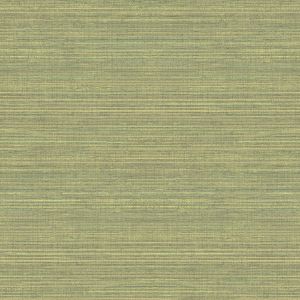 Just Kitchens Grasscloth Wallpaper Green Galerie G45422
