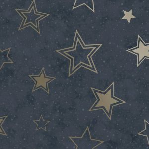 Blue and Gold Star Wallpaper Holden 14061