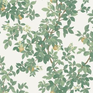 Fruit Tree Wallpaper Cream / Green Holden 14240