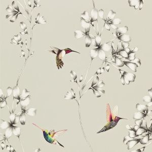 Harlequin Amazilia Hummingbird Wallpaper Silver / White HAMA111062