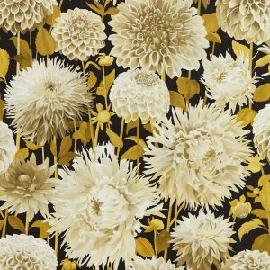 Harlequin Dahlia Wallpaper Fig Blossom / Nectar / Black Earth