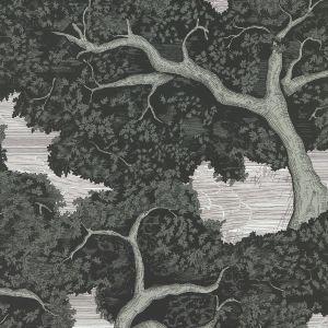 Harlequin Eternal Oak Wallpaper Ebony / First Light HC4W113040