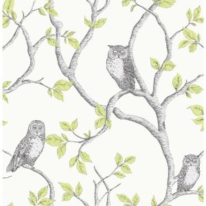 Woodland Owls Wallpaper Green Fine Decor FD40637