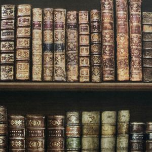 Antique Bookcase Wallpaper - Brown - 575208