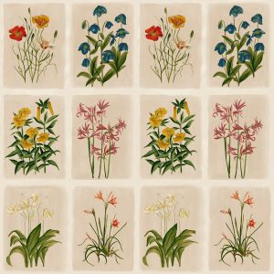 Laura Ashley Pershore Postcards Wallpaper Multi / Linen 143334
