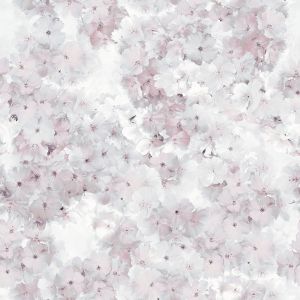 Apple Blossom Wallpaper Rose Muriva 211501