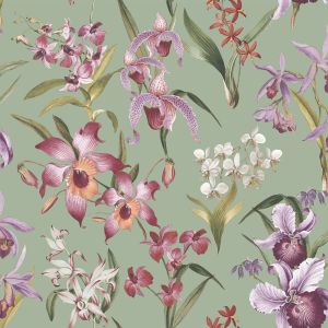 Maya Floral Wallpaper Sage Rasch 283654