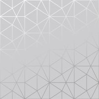 Metro Prism Geometric Triangle Wallpaper - Grey and Silver - WOW006