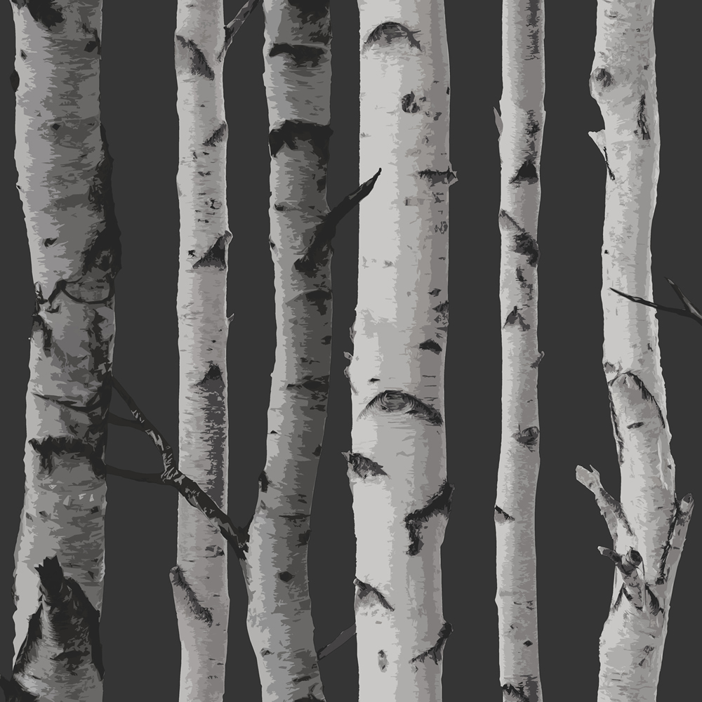 UK Non-woven Black White Birch Tree Woods Forest Wallpaper Wall Paper Roll 10m
