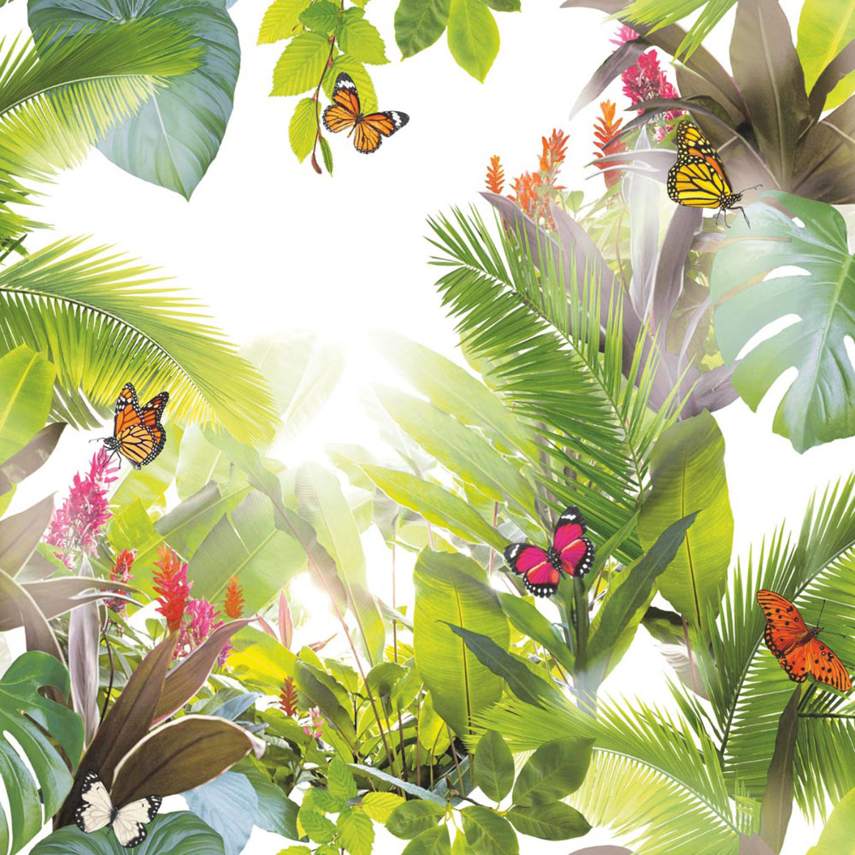 Tropics Amazonia Wallpaper Citrus Arthouse 690300