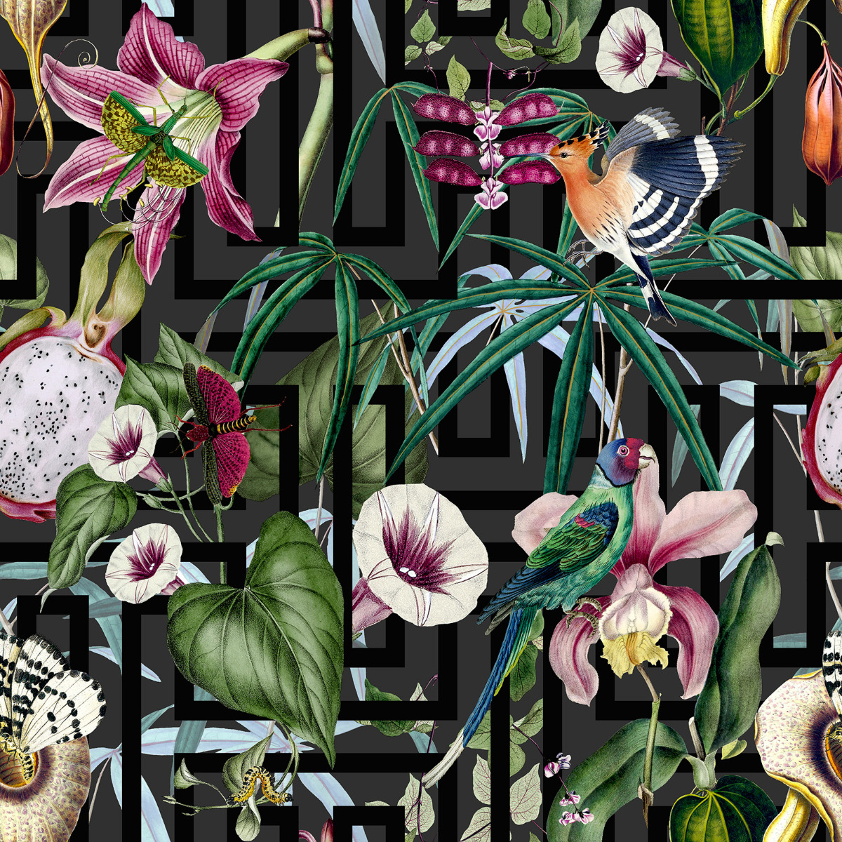 Paul Moneypenny Tropical Infinity Wallpaper Multi Arthouse 922805