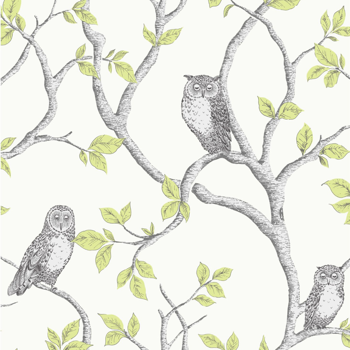 Woodland Owls Wallpaper