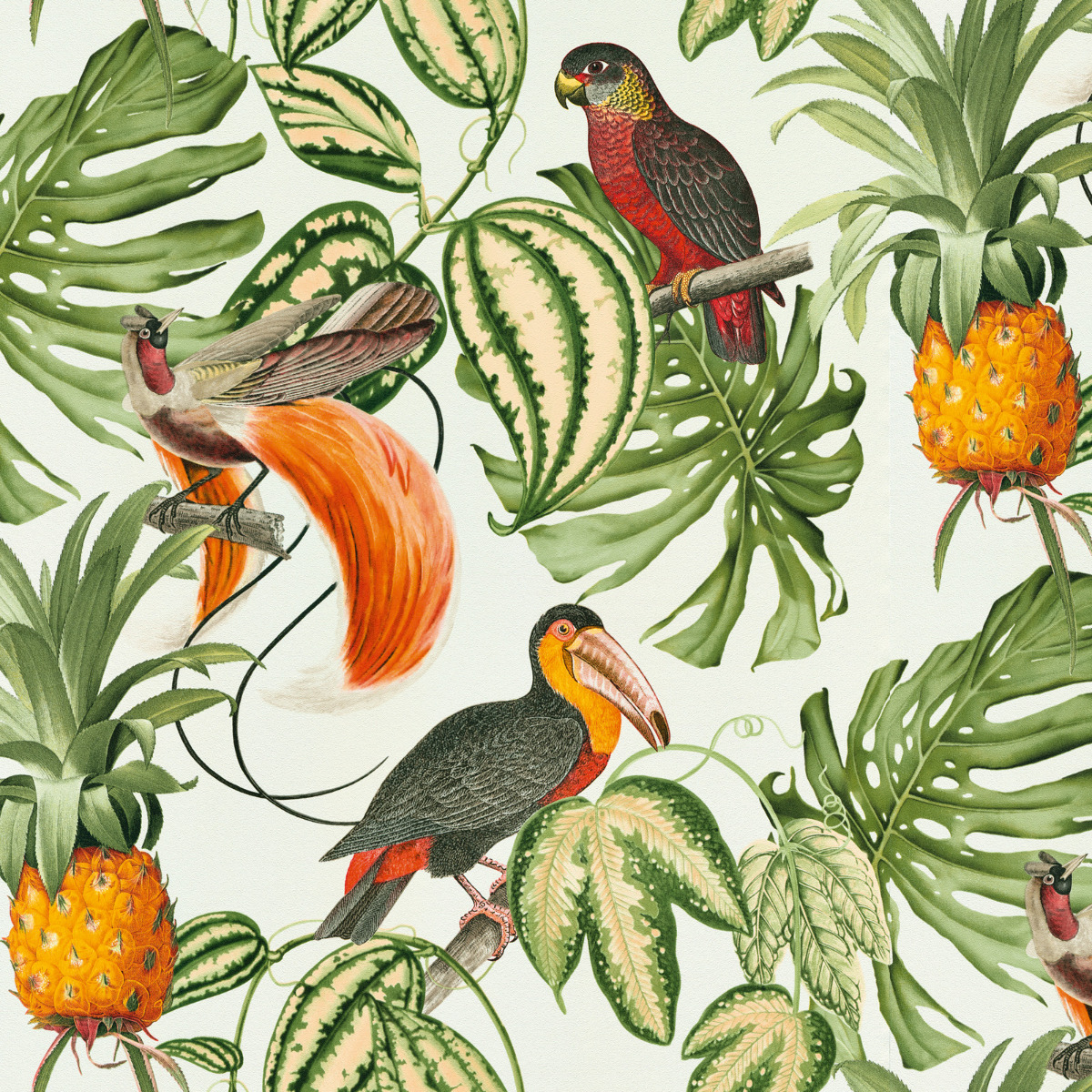 Paradisio Tropical Birds Wallpaper White Erismann 6302-07