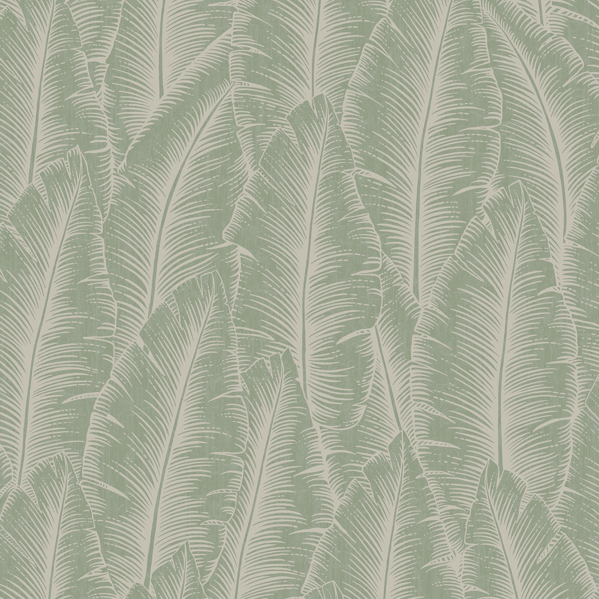 Palmeira Leaf Wallpaper Grandeco Sage A68503