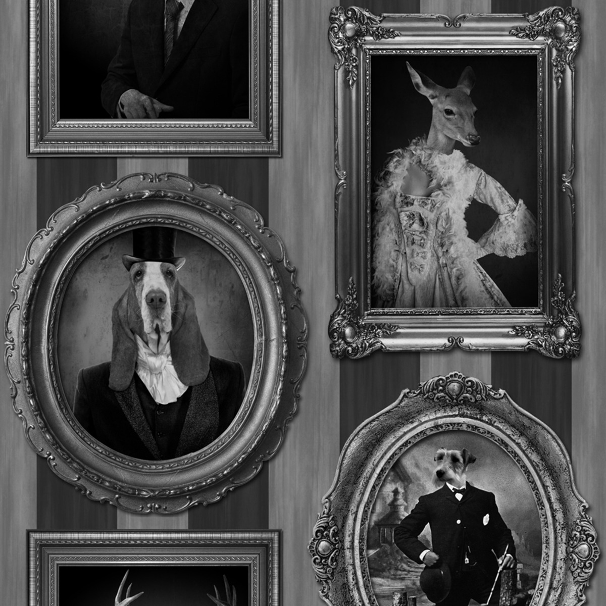 Dogs in Frames Wallpaper Muriva J59309