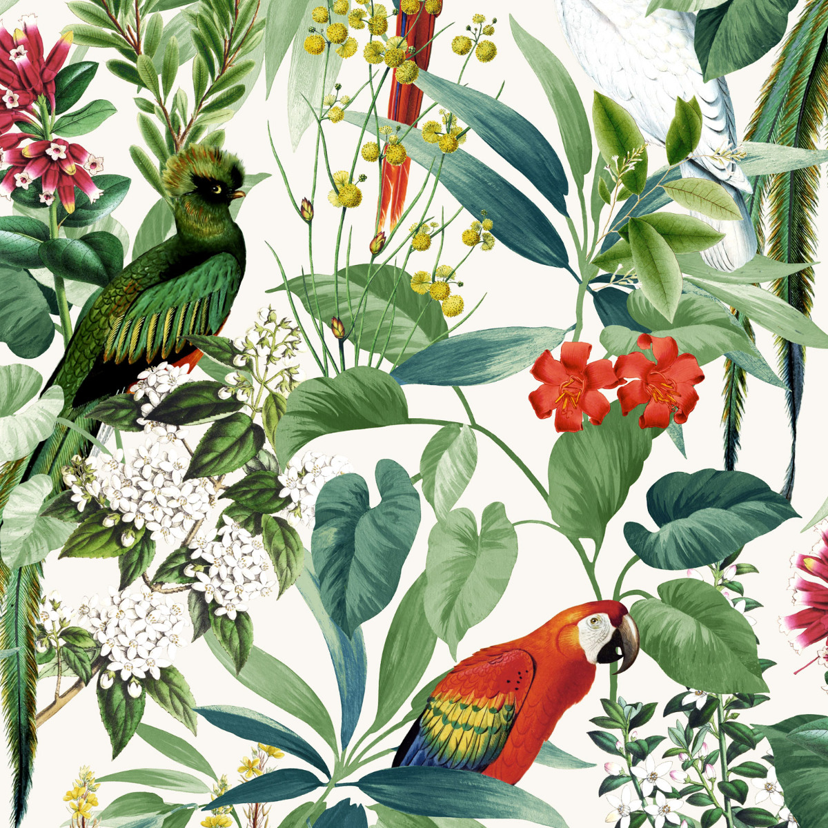 Ikala Tropical Wallpaper Multi Muriva L76204