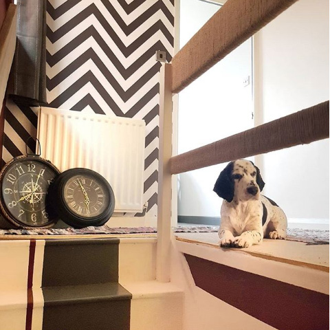 Zig Zag Monochrome Wallpaper Hallway and Staircase Instagram @ewan2605