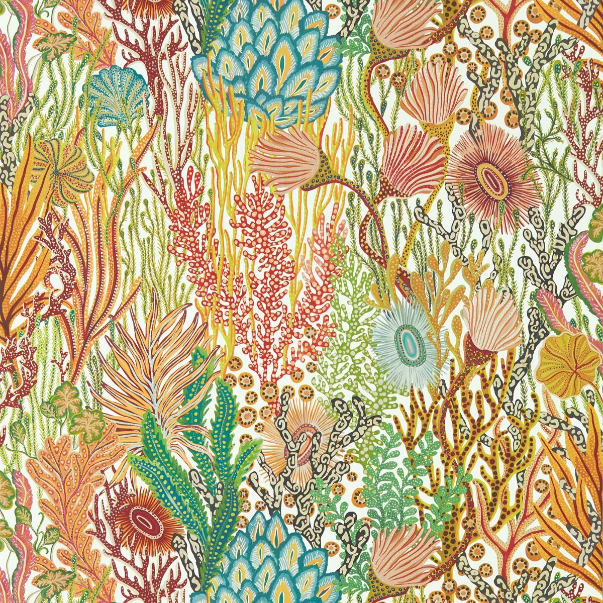 Acropora Coral Wallpaper Harlequin Multi HTEW112779